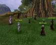 videos de Vanguard Party Time