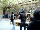 TORRELLES DE LLOBREGAT- FESTA SOLID�RIA