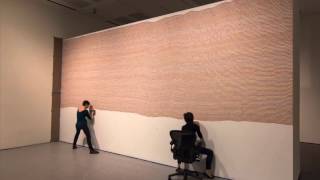 Time Lapse of Sol LeWitt's "Wall Drawing #797" | Blanton Museum of Art