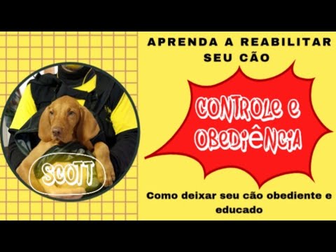 Tudoem Ilhabela