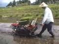 田植え 戸隠2007.6.2