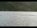 Cliff Diving