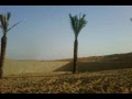 Inside the Best Resort in the middle off the Arabian Desert Monitored by temptrak MGK Task-force!