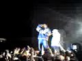 Dalmata en la chica lider