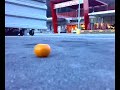Crush platform citrus quick walkover by FeraCrush