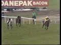 Desert Orchid 1989 Cheltenham Gold Cup