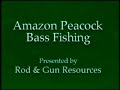 Amazon Peacock Bass Fishing (part 2)