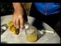 Tutorial Birita cú de burro