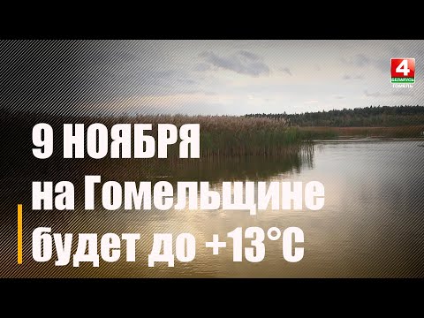 9 ноября на Гомельщине будет до +13°С видео
