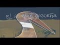 El hombre cigüeña