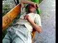 agresywny zul leon