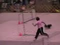 Pembroke Welsh Corgi and Shetland Sheepdog doing Agility Pembroke Welsh Corgi and Shetland Sheepdog doing Agility