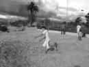 trailer tomy trickz 08
