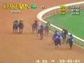Smarty Jones - 2004 Rebel Stakes