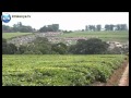 The Talai tribe get land
