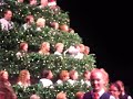 Brie on the Tree! Brie on the Tree!