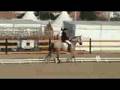 Fira Sant Jaume 2008 doma R2