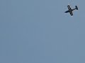 T 37