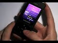 Samsung F300  (www.hi-mobile.net)