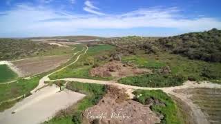 قرية السنديانة المهجرة حيفا فلسطين palestine