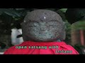 get the message of meditation  satsang with dolano