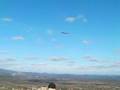 aile volante.mp4