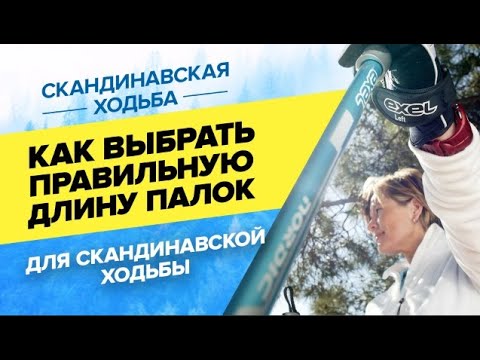 Как выбрать правильную длину палок для скандинавской ходьбы