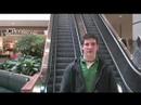 Fun at the Mall Fun at the Mall