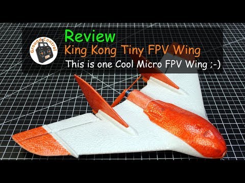 Review - King Kong/LDARC Tiny Wing 450 - Sweet Micro Wing ;-)