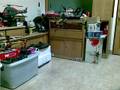 REBUILT MY ESKY HONEY BEE KING(TEST WALKERA SERVO FOR GY-191)