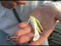 Swim Jig Shallow