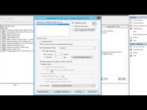 how to use snapmanager for sql