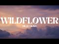 Billie Eilish - WILDFLOWER (Lyrics)