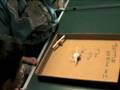 Bristle Bots Battle Royale