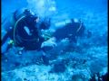 Youtube Maldives Diving 2009