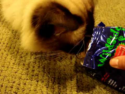 0 Wildside Salmon Treats