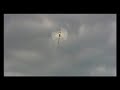 T-rex 700 M0 T-rex 700 M0