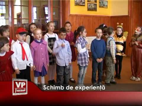 Schimb de experienţă