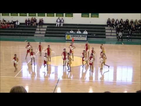 Pom Routine 2010-2011 See video