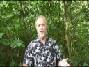 Article Marketing for Web Site Traffic Generation Article Marketing for Web Site Traffic Generation
