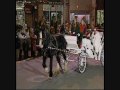 Paws claws and hoofs rescue in Christmas Parade at Cambridge, Ohio   Guernsey County