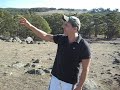 Looking for rabbits in Victoria Australia