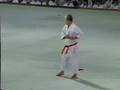 1990 Okinawan Karate ~ Kobudo Festival Demonstrations