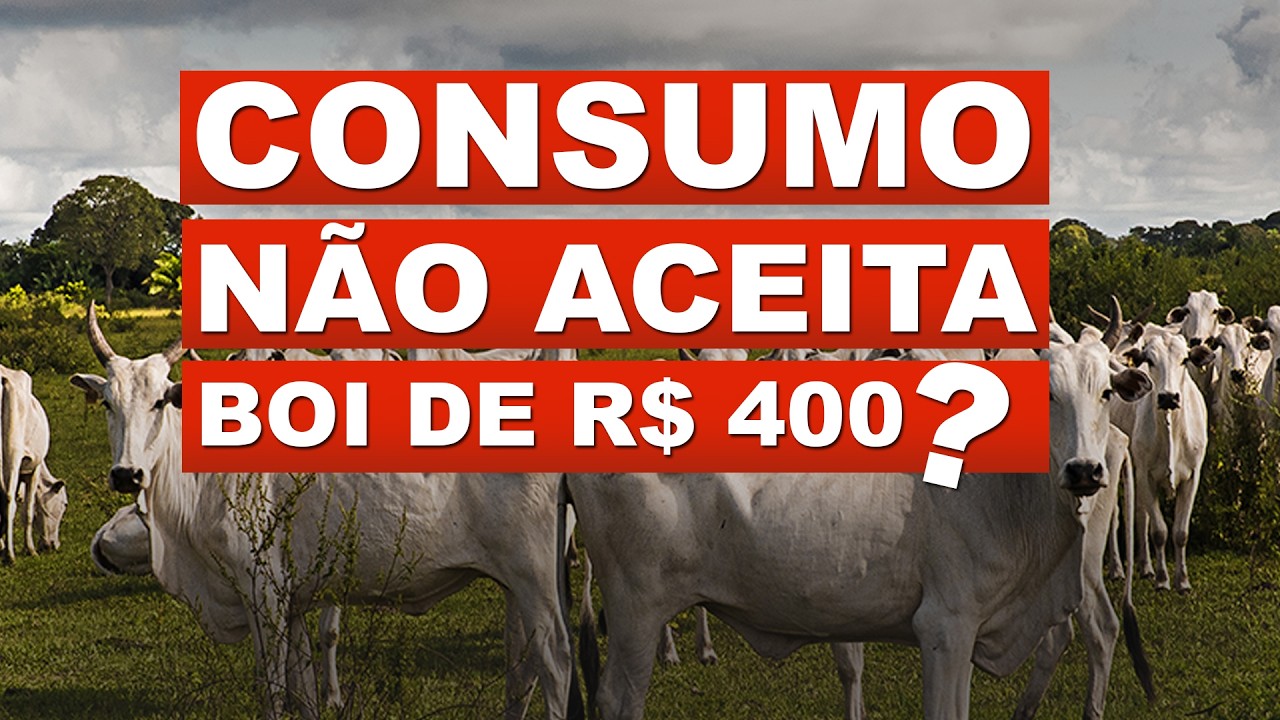 CONSUMO NÃO ACEITA BOI DE R$ 400?