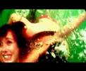 SWIMINFEAR - happy end SWIMINFEAR - happy end
