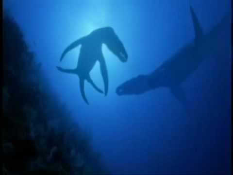 liopleurodon - Both, Megalodon,a shark the size of a whale and Liopleurodon, a croc with flippers were both apex predators of their time. If they met, who would win??!!!