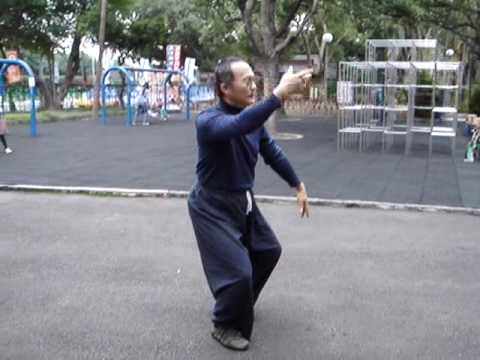 Yang Taiji Quan - Small Frame See video