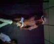 rumba en bongos cd bolivar