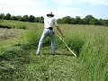 Mowing with a Swiss snath and 65cm Scythe Blade.
