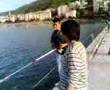 Tirebolu Balik avi